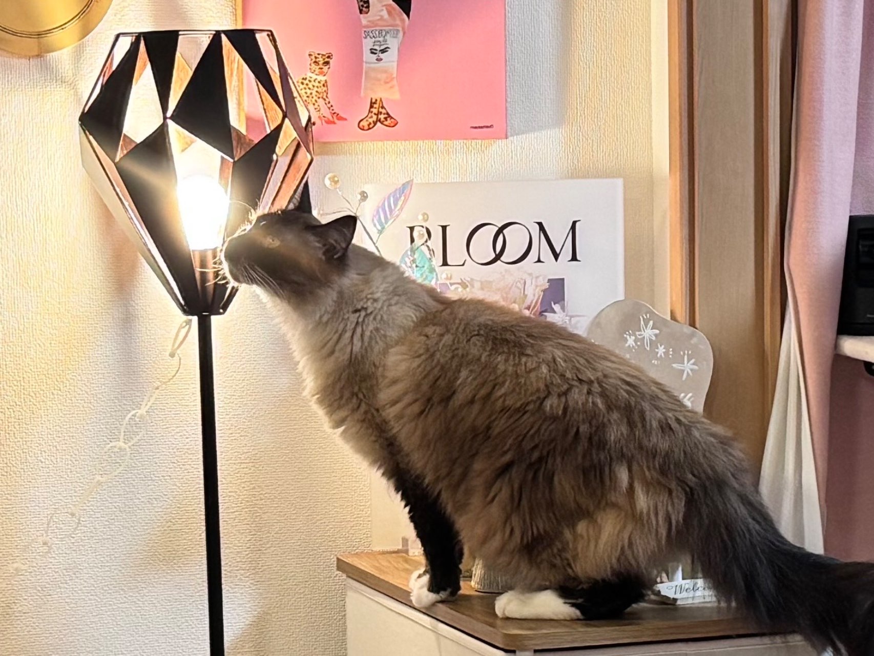 2022年製 Francfranc カールトン フロアランプ スタンド 楽天市場】Francfranc カールトン フロアランプ フランフラン