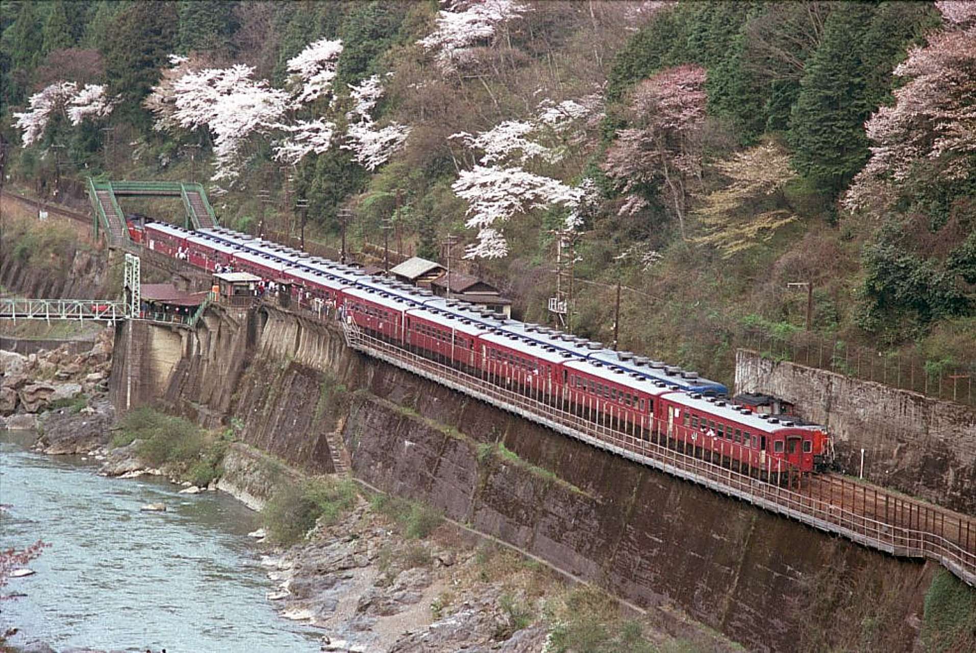 N) 5143-3 オハフ50 2000 JR仕様 | カトー | カト- 5143-3 オハフ50